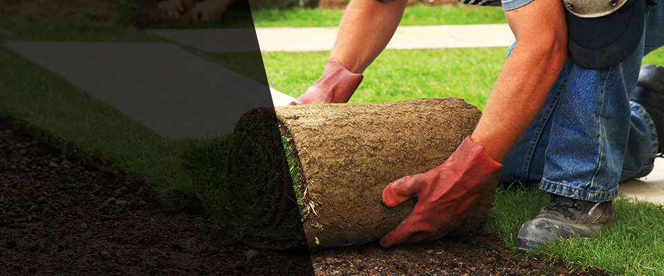 Wood Ridge Landscapers